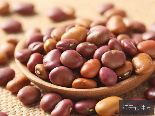 麻豆产精国品,探索免费线上影视平台的五大核心亮点